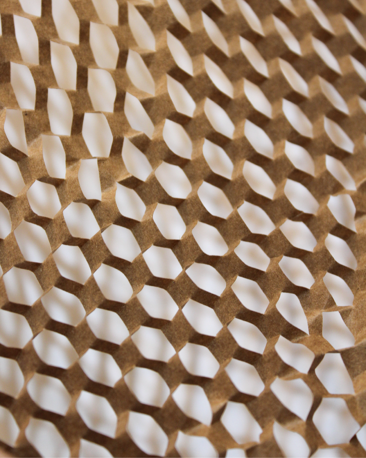 Rollo honey comb 50 cm x 300 mts