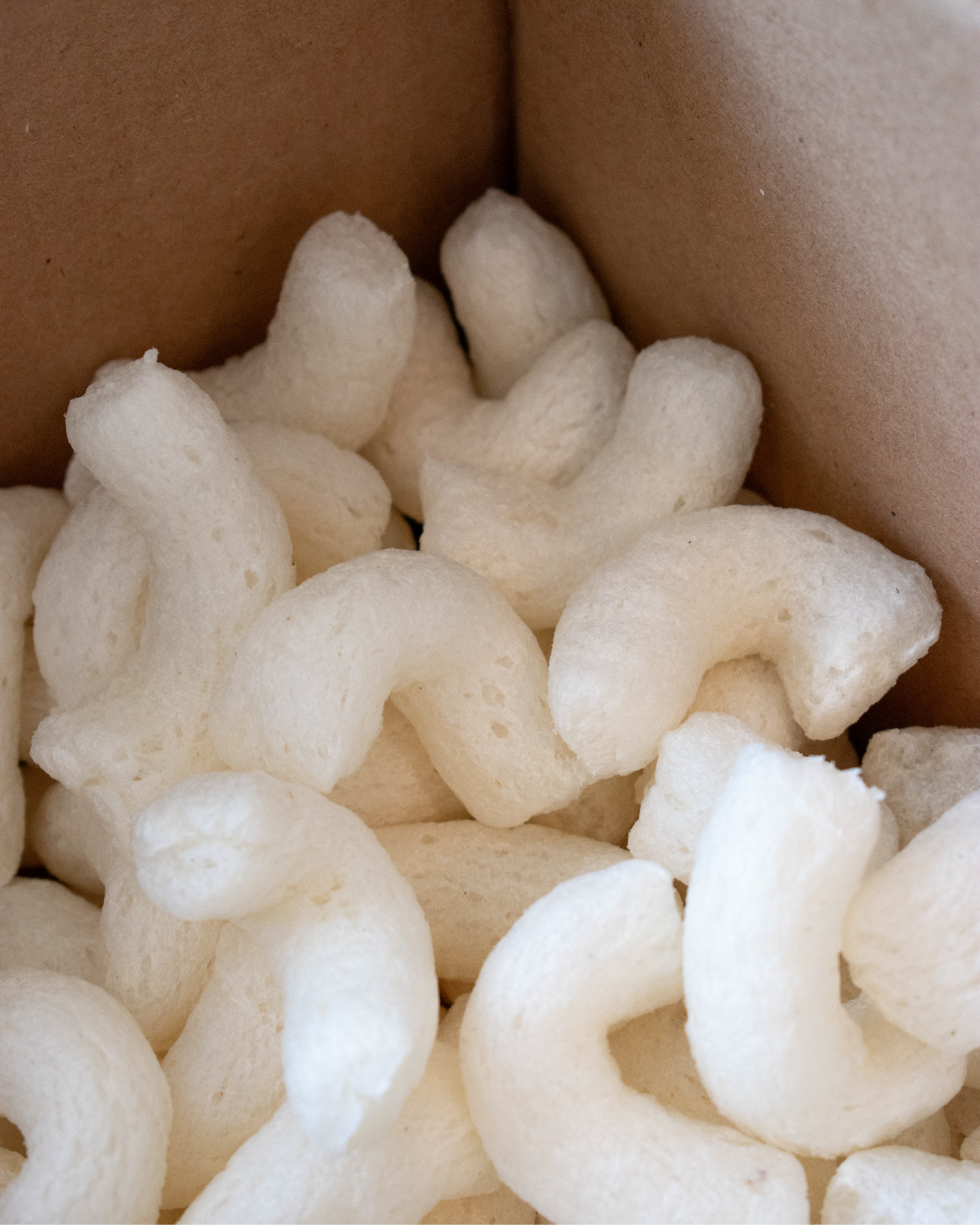 Bolsa de Biofill (CHETOS)